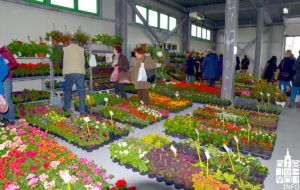 2019 sajam cvijeća 122