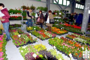 2019 sajam cvijeća 123