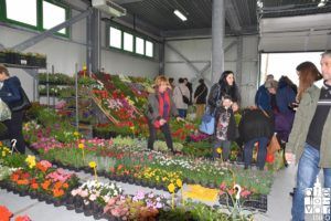 2019 sajam cvijeća 126
