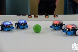 2019 sajam cvijeća 203