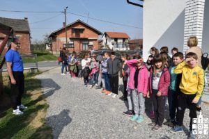 2019 šljive aronija 24