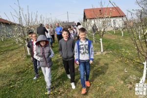 2019 šljive aronija 72