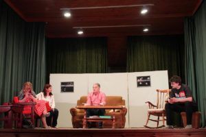 20 smotra amaterskih kazalista 5