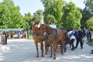 2019 bjelovar 3