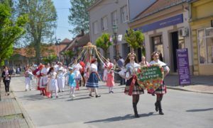 2019 cesi povorka 11