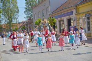 2019 cesi povorka 13