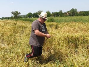 2019 bjelovar info A bajs 3