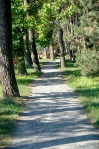 2019 bjelovar info borik 12