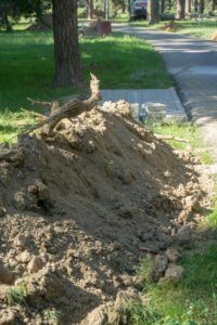 2019 bjelovar info borik 13