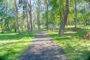 2019 bjelovar info borik 15