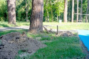 2019 bjelovar info borik 16