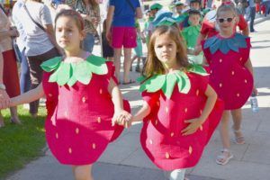 2019 bjelovar info cvjetna1 67