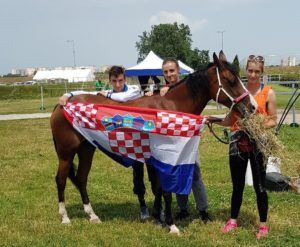 2019 bjelovar info konji 3