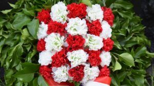 2019 bjelovar info sdp dan drzavnosti 50