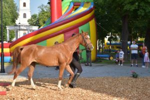 2019 bjelovar info terezijana12 30