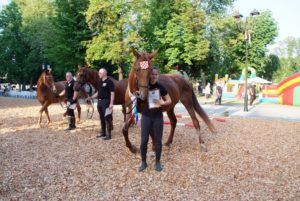2019 bjelovar info terezijana 45