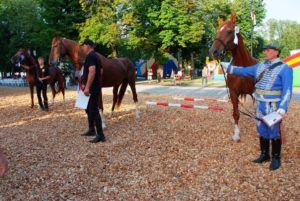 2019 bjelovar info terezijana 51
