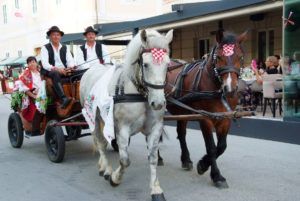 2019 bjelovar info terezijana drugi dan 61