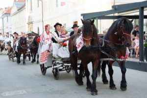 2019 bjelovar info terezijana drugi dan 62