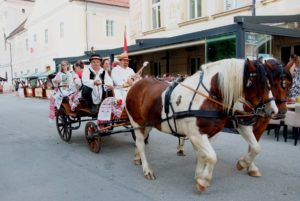 2019 bjelovar info terezijana drugi dan 67