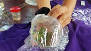 2019 bjelovar info djeca 66