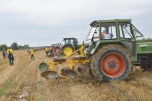 2019 bjelovar info oranje 130