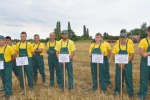 2019 bjelovar info oranje 16