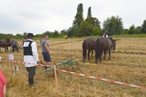 2019 bjelovar info oranje 179