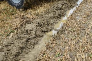 2019 bjelovar info oranje 93