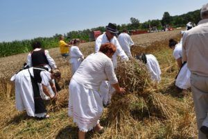2019 bjelovar info zetva 143