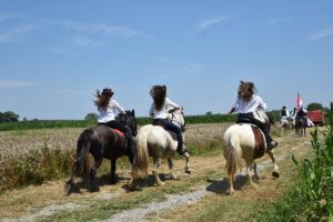 2019 bjelovar info zetva 15
