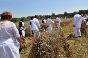 2019 bjelovar info zetva 151