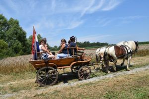 2019 bjelovar info zetva 21