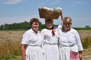 2019 bjelovar info zetva 3