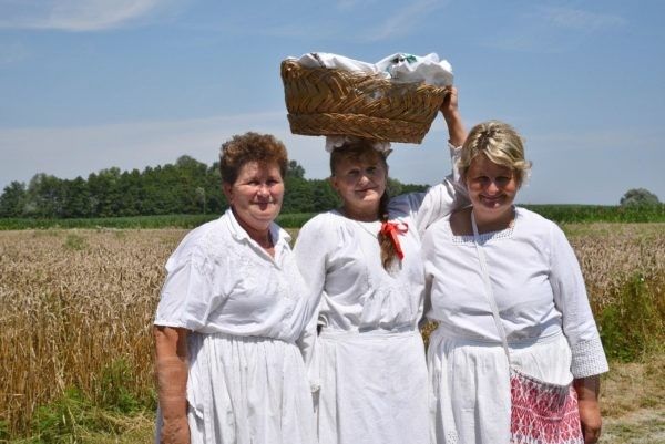 2019 bjelovar info zetva 3