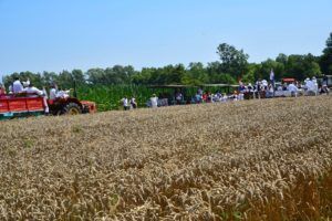 2019 bjelovar info zetva 57