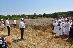 2019 bjelovar info zetva 84