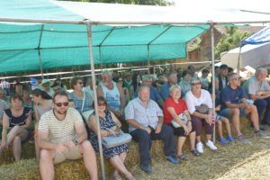 2019 bjelovar info masinanje 78