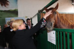 2019 bjelovar info jesenski sajam 310