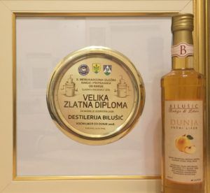 2019 bjelovar info bjelovar bilušić 1