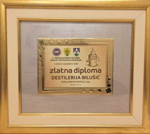 2019 bjelovar info bjelovar bilušić 4