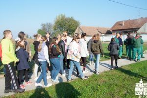 2019 bjelovar info bjelovar drveće 3