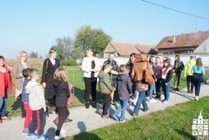 2019 bjelovar info bjelovar drveće 6