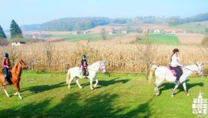 2019 bjelovar info bjelovar jesen bilogora 5