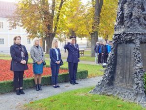 2019 bjelovar info bjelovar dan neovisnost 7