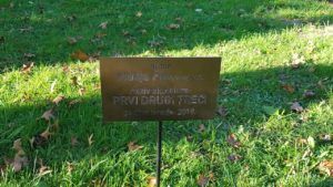 2019 bjelovar info skulpture 3