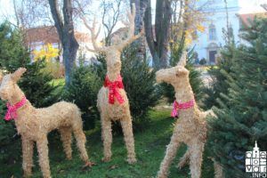 2019 bjelovarinfo advent bj 41