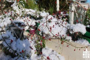 2019 bjelovarinfo advent bj 56