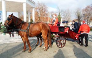 2019 bjelovarinfo advent bj 14 12 2019 28