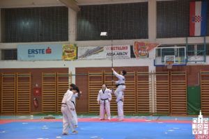 2019 bjelovarinfo taekwondo klub 7
